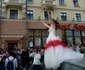 Femeile din Belarus protestează împotriva rezultatului alegerilor prezidenţiale. FOTO EPA-EFE