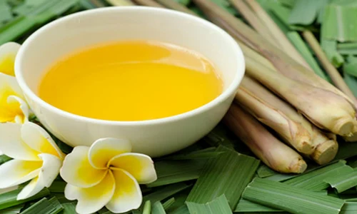 Ceai de lemongrass beneficii jpeg