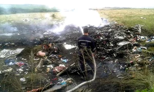 10400024 10152331622868432 7398689505803725877 n jpeg