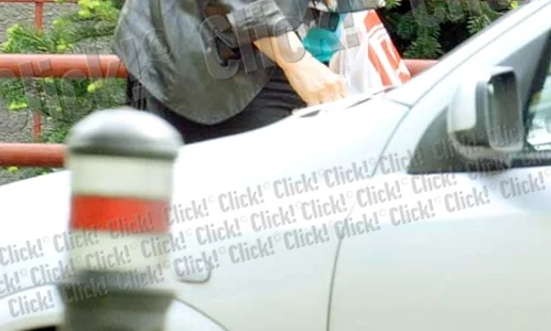 Dida Dragan a stat în ultimii ani departe de luminile rampei (foto Click!) jpeg