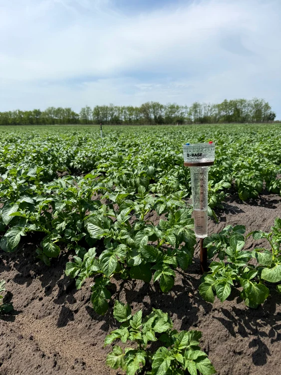 Fermierul Ionuț Sgură a înjumătățit suprafața cultivată cu cartof FOTO: arhiva personală Ionuț Sgură