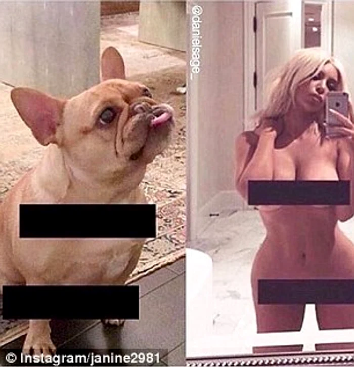 3203399B00000578 0 image a 18 1457488166866 jpeg