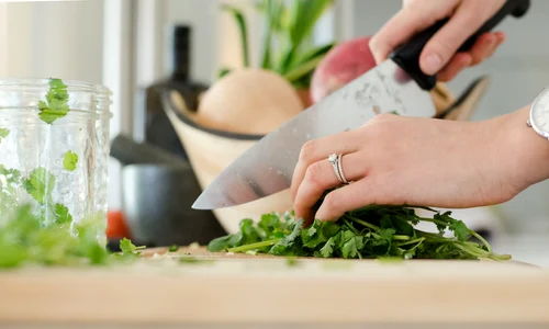 1 gatit sanatos jpg jpeg