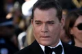 ray liotta shutterstock 103298915 jpg