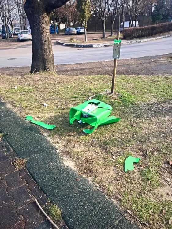 Petrecăreţii s-au războit cu coşurile de gunoi din parc. FOTO: Biborka Szekely