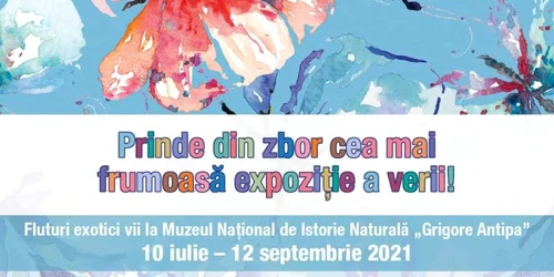 calarasi fluturi exotici vii la muzeul grigore antipa foto muzeul gr antipa