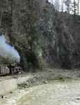 „Mocănița – Trenul amintirilor”  Scurtă incursiune în trecutul căii ferate forestiere Vișeu de Sus jpeg
