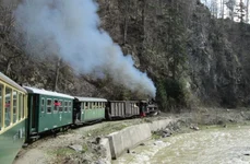 „Mocănița – Trenul amintirilor”  Scurtă incursiune în trecutul căii ferate forestiere Vișeu de Sus jpeg