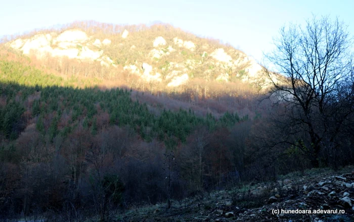 cetatea dacica piatra rosie foto adevarul daniel guta