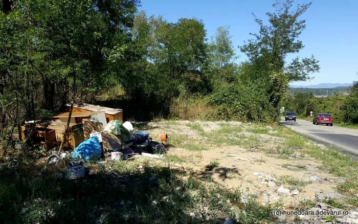 Gunoaiele de pe marginea şoselei. FOTO: Daniel Guţă. ADEVĂRUL.