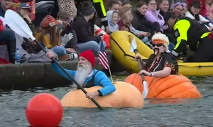 dovleci uriasi captura video jpg