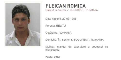 Fleican Romica Most wanted jpg