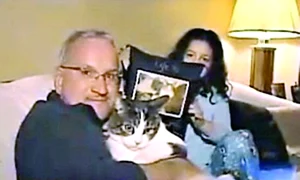 Familia pisicii jpeg