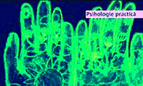 1 47063 original jpg jpeg