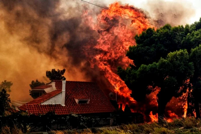 
    Incendiile de vegetație, o calamitate naturală care a ucis anul trecut, în Grecia, peste 80 de persoane sursa foto: click.ro  