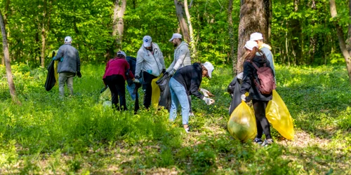 Voluntari actiune