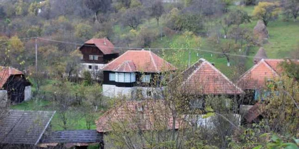 padureni