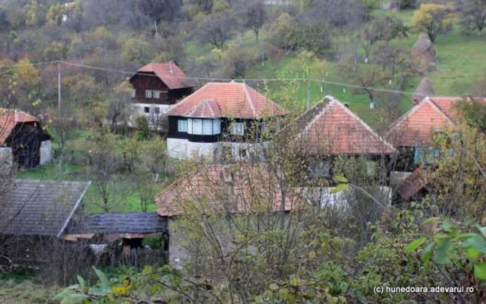 Cele mai multe case din Alun au fost părăsite. FOTO: Daniel Guţă. ADEVĂRUL.