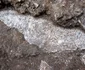 O vilă romană somptuoasă, descoperită la Castel di Guido (© Ministero della Cultura)