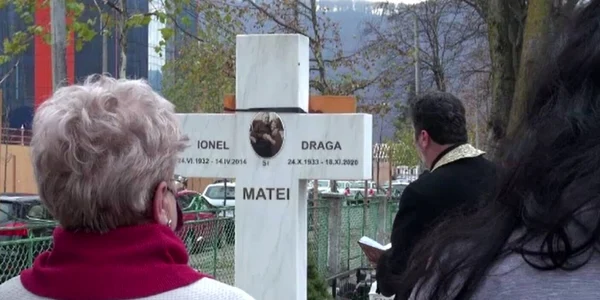 dmolteanu protv
