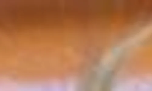 93803719 000a 4a3d 8628 d8aff3d82fe4 jpg