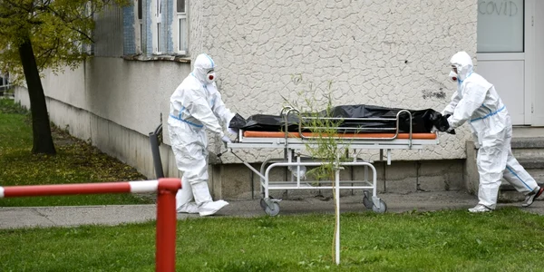 epidemiolog covid