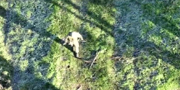 Un soldat rus s-a predat dronei ucrainene. Foto Captură video Twitter jpg