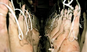 4 baza carne porc jpeg