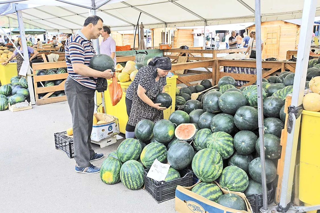Domnul Gică  a ales cel mai  mare pepene  de Dăbuleni