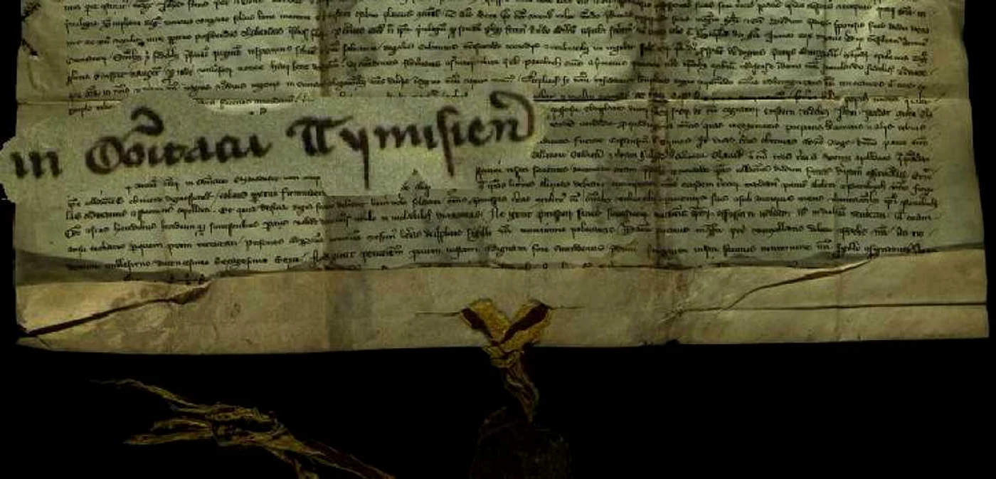 Documentul din anul 1266