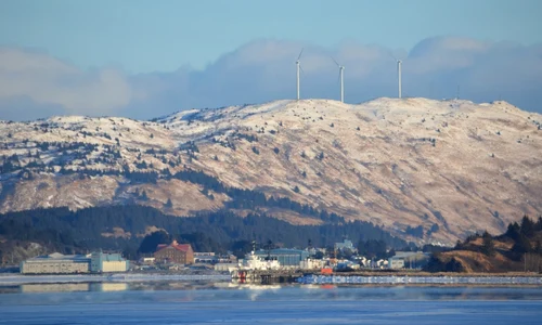 alaska kodiak