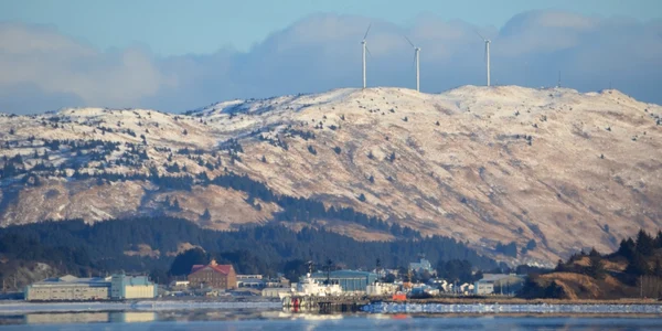 alaska kodiak