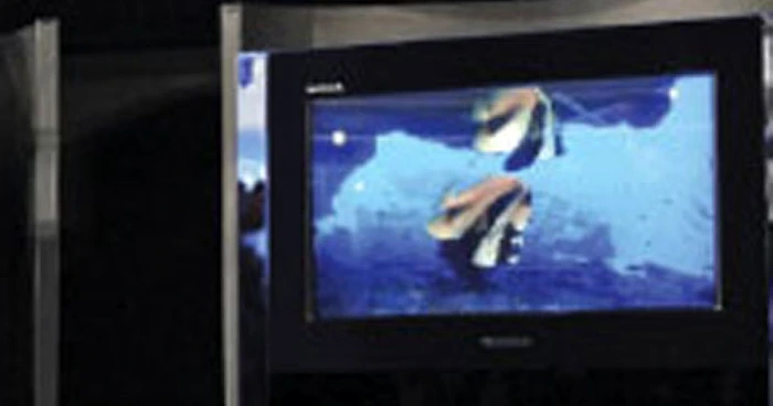 Oamenii se arată impresionaţi de senzaţiile pe care le au urmărind programe la televizoarele 3D