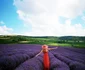 lavanda 8 jpg