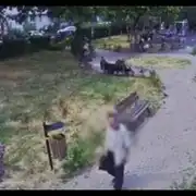 agresor gif gif