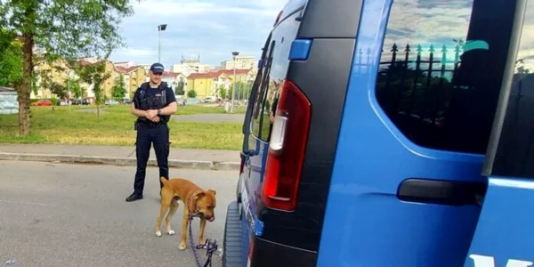 caine agresirv FOTO IJJ Bacau