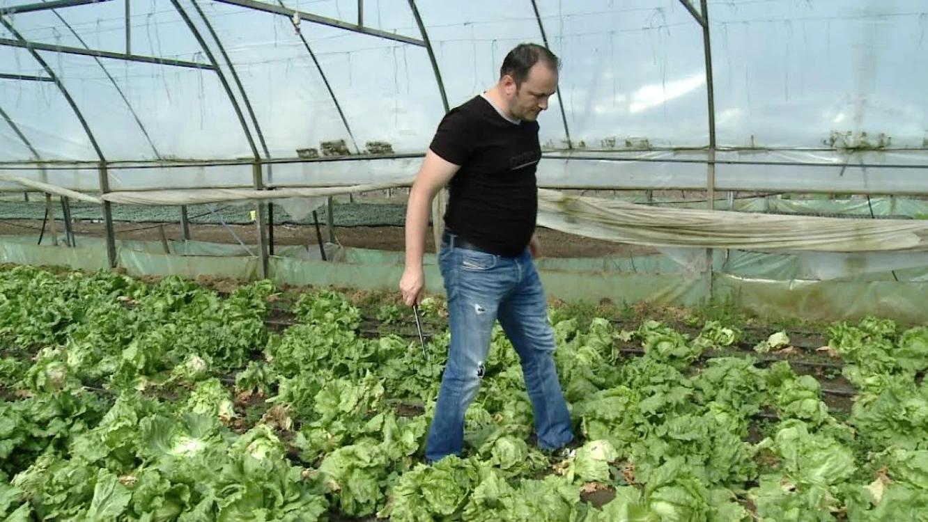 fermier Slobozia madalin sofronie