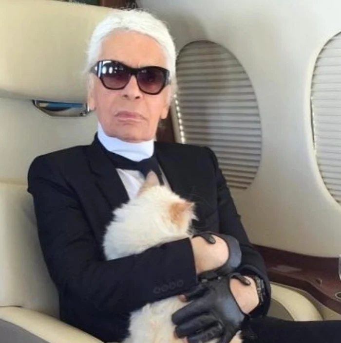 choupette karl lagerfeld 2 jpg jpeg