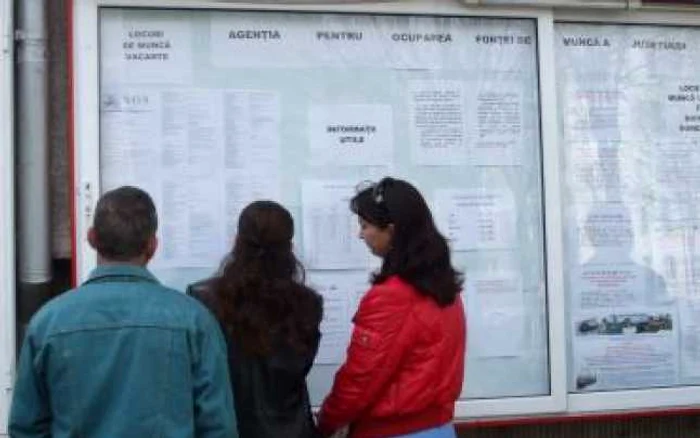 Râmnicu Vâlcea: Locurile de muncă valabile în perioada 29 octombrie-4 noiembrie