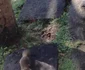 11887984 10200923126837104 1554027161945878374 n jpeg