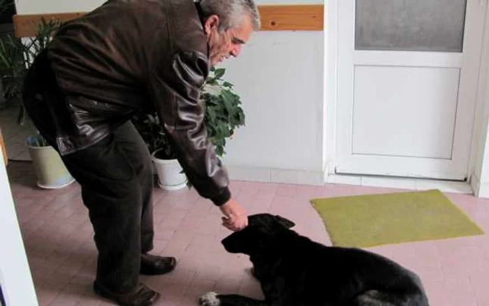 Primarul Şerbănescu spune că îi pare rău să alunge câinii