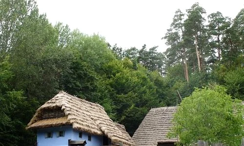 historia ro undefined jpeg