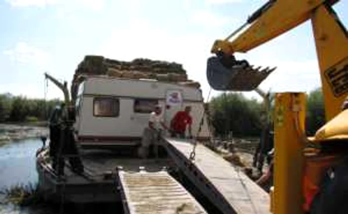 Hrană pentru caii sălbăticiţi de la Letea