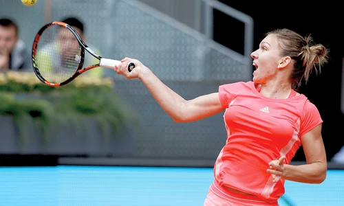 halep 0 jpeg