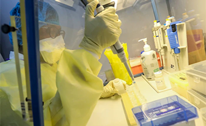 Directorul general al Organizaţiei Mondiale a SănătăţiiFoto: EPA-EFE