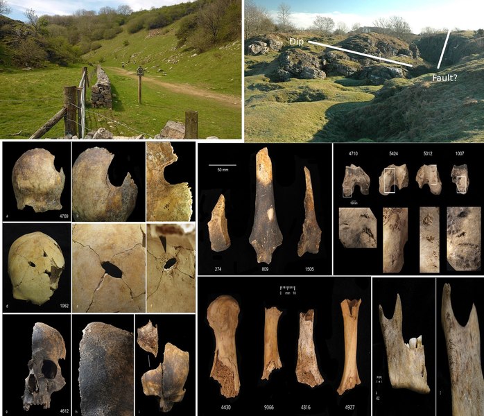 Descoperire macabră: masacru preistoric și dovezi șocante ale canibalismului în Marea Britanie