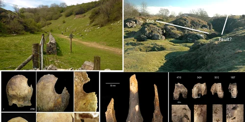 Charterhouse Warren în Somerset Marea Britanie descoperire terifiantă canibalism în Epoca Bronzului Colaj DMS