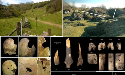 Charterhouse Warren în Somerset Marea Britanie descoperire terifiantă canibalism în Epoca Bronzului Colaj DMS