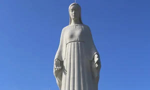 statuie fecioara maria polonia profimedia jpg
