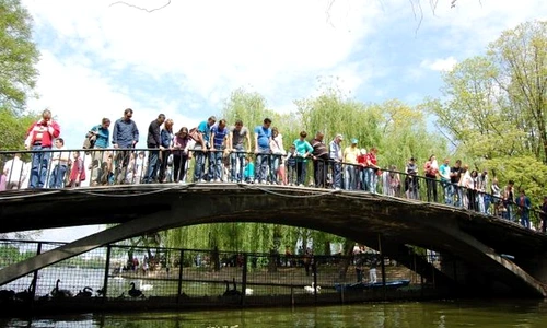 1 51783 original jpg jpeg